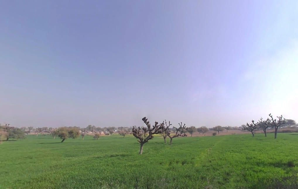 Khachariawas, Rajasthan 332710, India