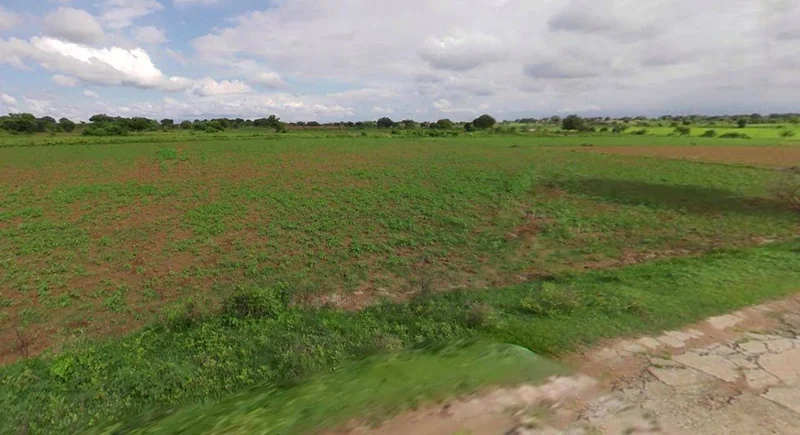 Bijnor, Uttar Pradesh 246701, India preview 2