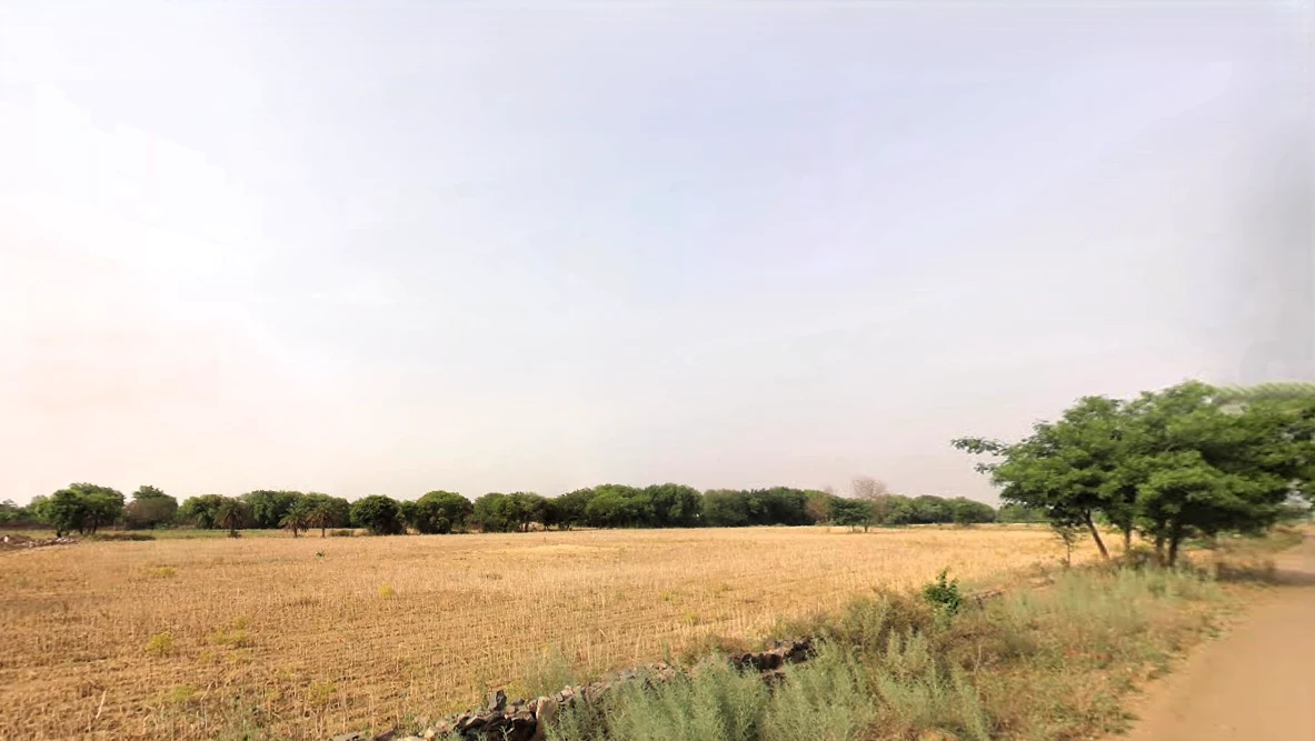 Tethar, Haryana, India