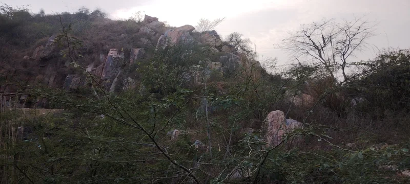 H7JQ+CRC, Ghaata, Rajasthan 321022, India preview 3