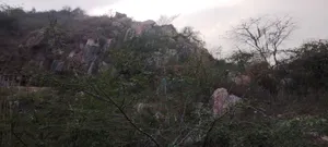 H7JQ+CRC, Ghaata, Rajasthan 321022, India preview 3