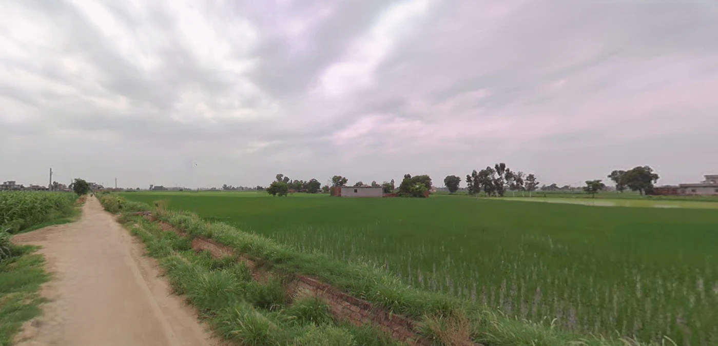 Balachaur, Punjab 144521, India