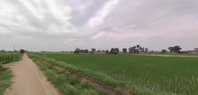 Balachaur, Punjab 144521, India preview 2