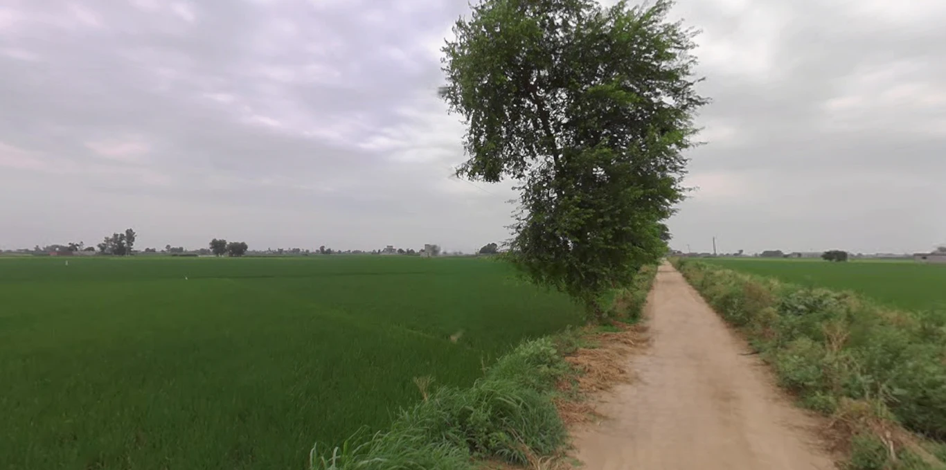 Balachaur, Punjab 144521, India