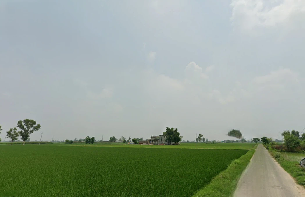 Ghanauli, Punjab 140113, India