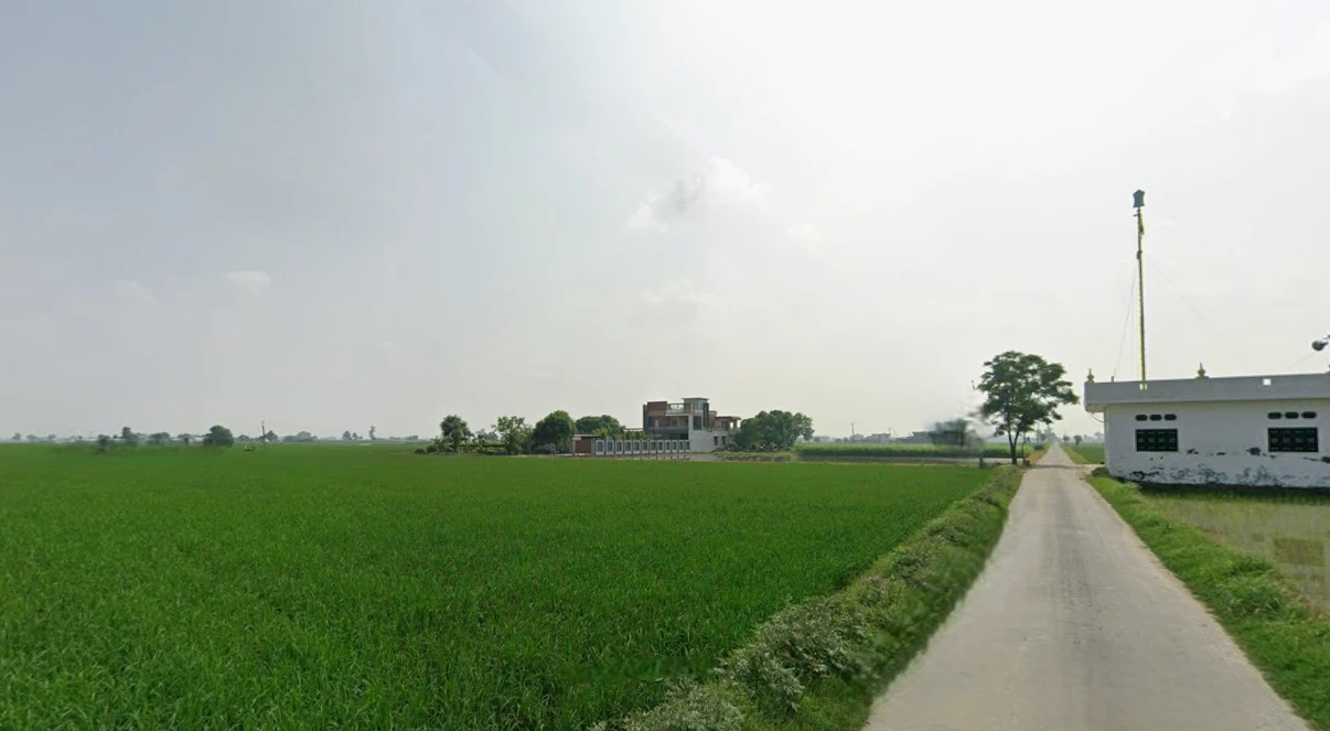 Ghanauli, Punjab 140113, India