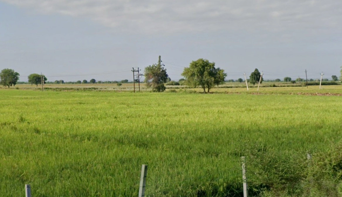 FQMF+487, Khajurna, Madhya Pradesh 458778, India