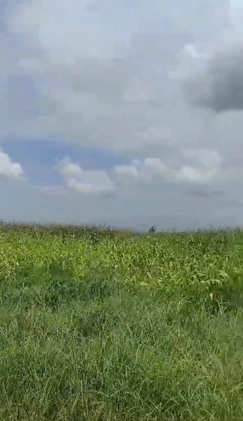 Kanchanpur, Vidisha, Madhya Pradesh 464228, India - Photo 2