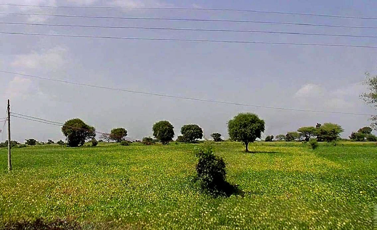 FMWR+J9J, Sangvikheda, Madhya Pradesh 456443, India