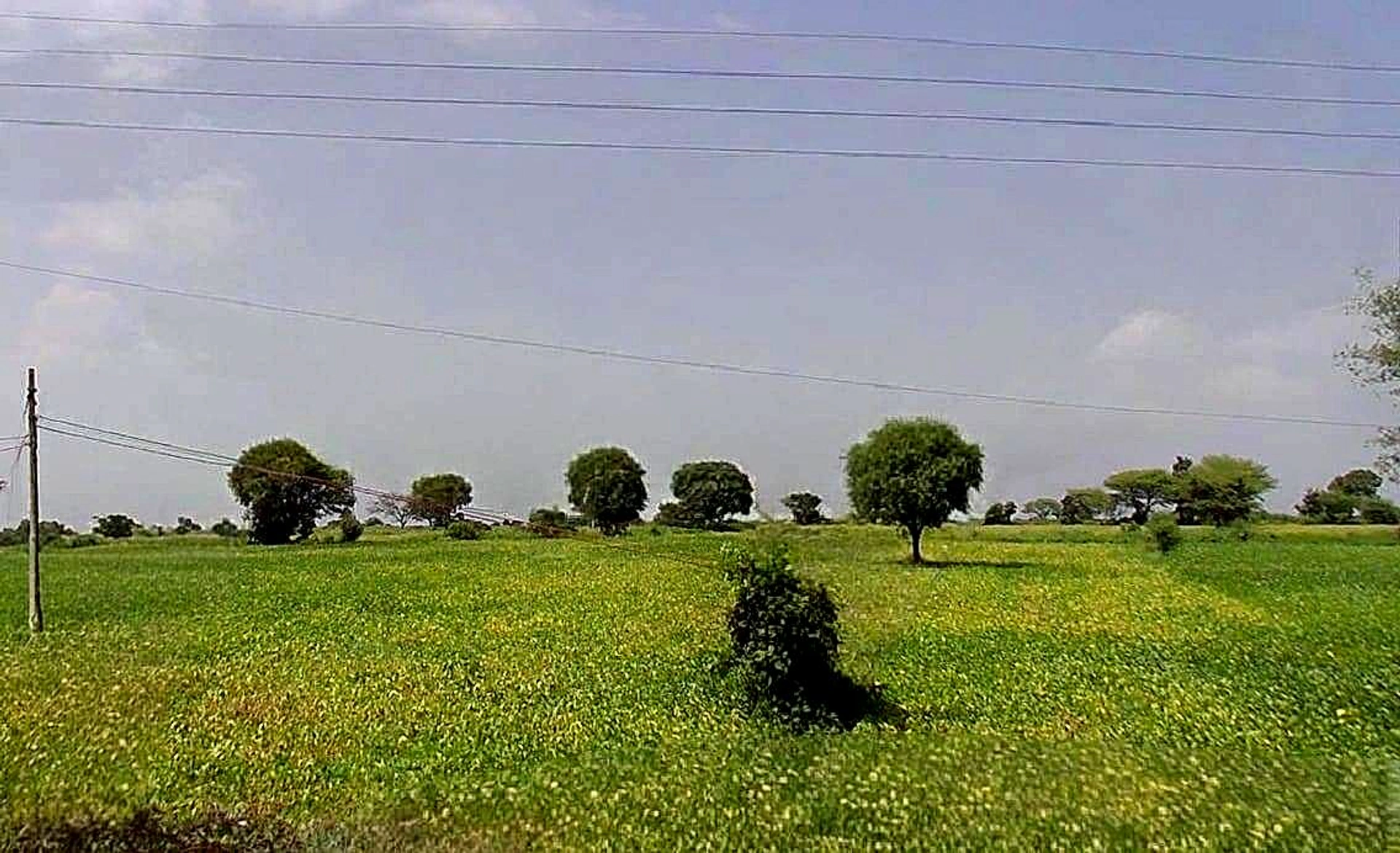 FMWR+J9J, Sangvikheda, Madhya Pradesh 456443, India