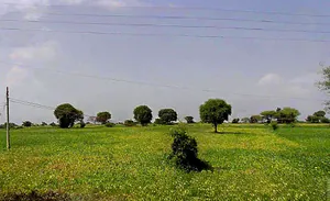FMWR+J9J, Sangvikheda, Madhya Pradesh 456443, India preview 2