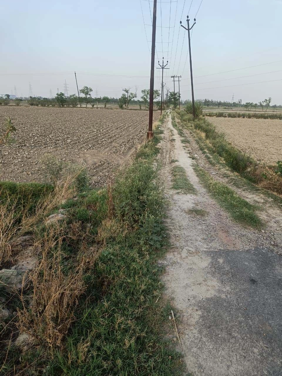 Sankhi, Uttar Pradesh 281401, India
