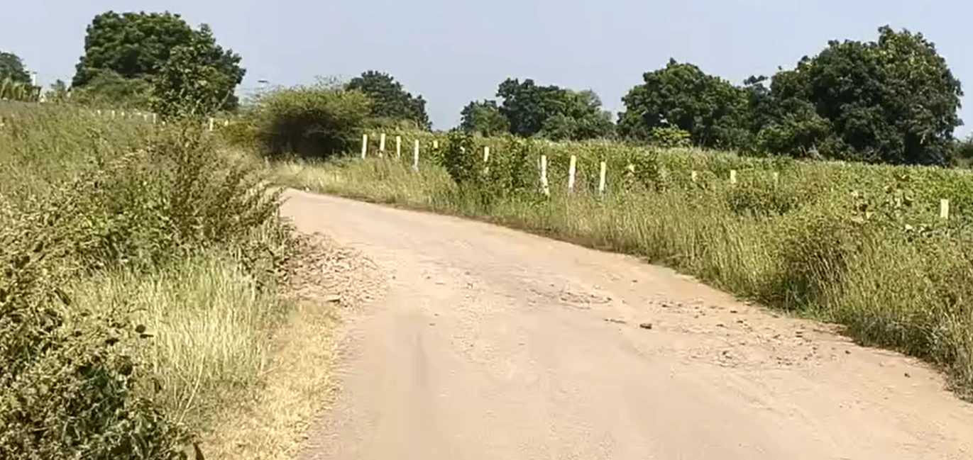 G357+PG9, Sangareddy, Gadimalkapur, Telangana, India
