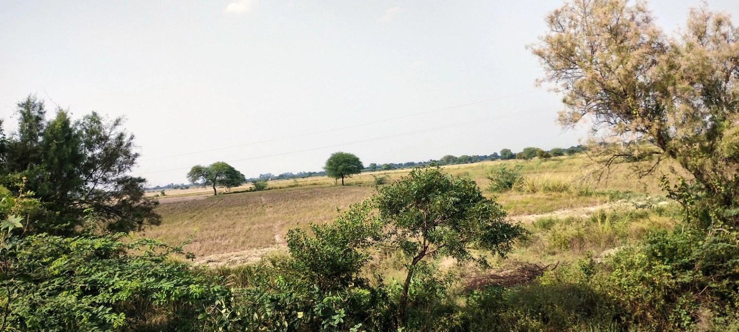 Nagla Chahar, Rajasthan 321203, India