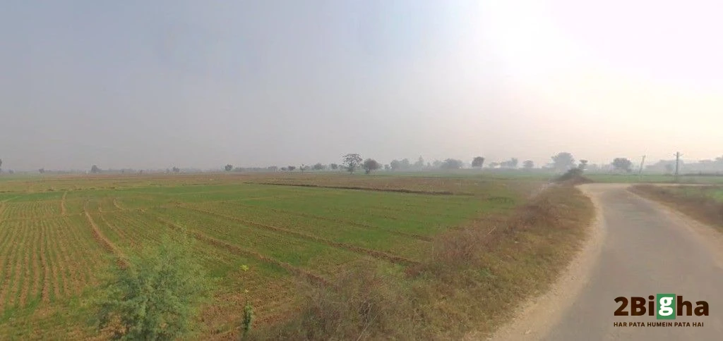 Gelpur, Rajasthan 301707, India