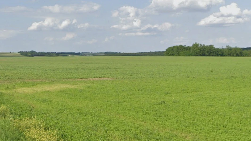 Nayapura, Madhya Pradesh 464551, India