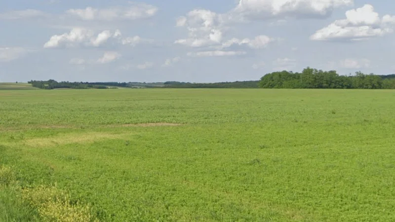 Nayapura, Madhya Pradesh 464551, India preview 2