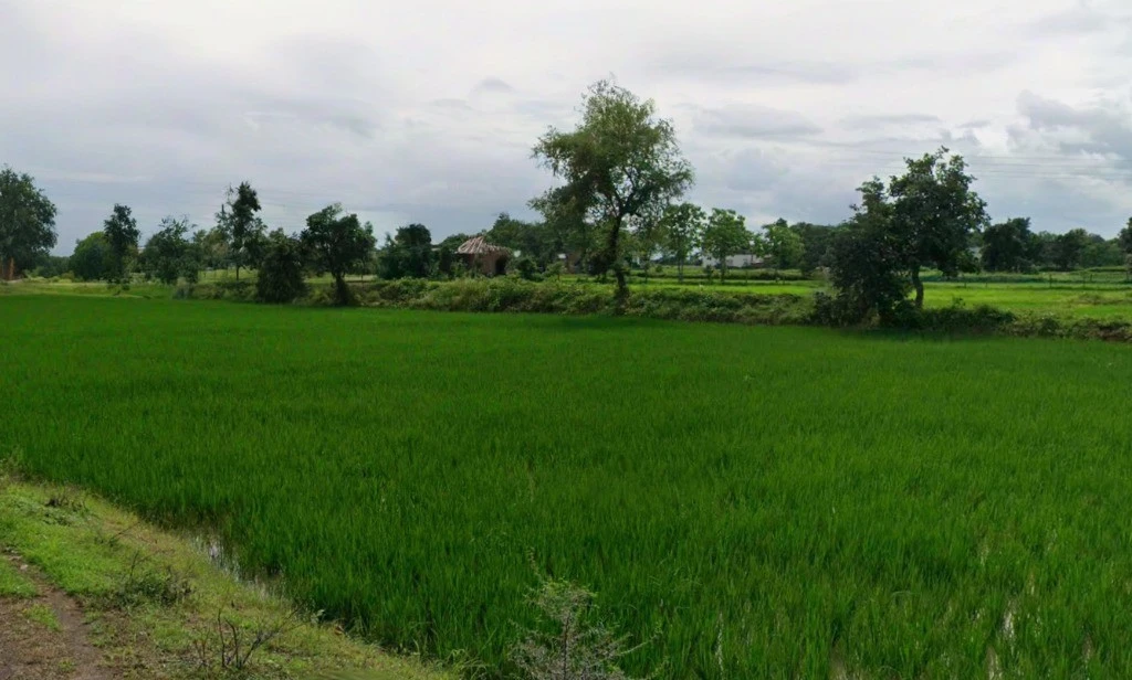 Kapsiya Kalan, Chhattisgarh 495112, India