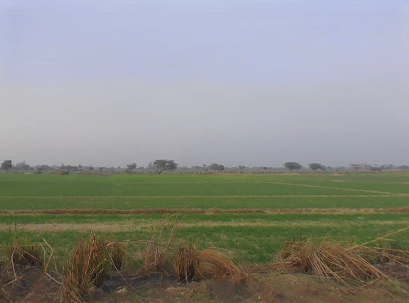 Jalesar, Uttar Pradesh 207302, India