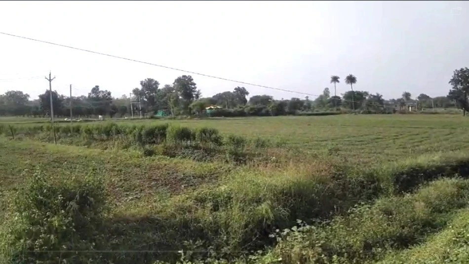 Rampura, Madhya Pradesh 465337, India