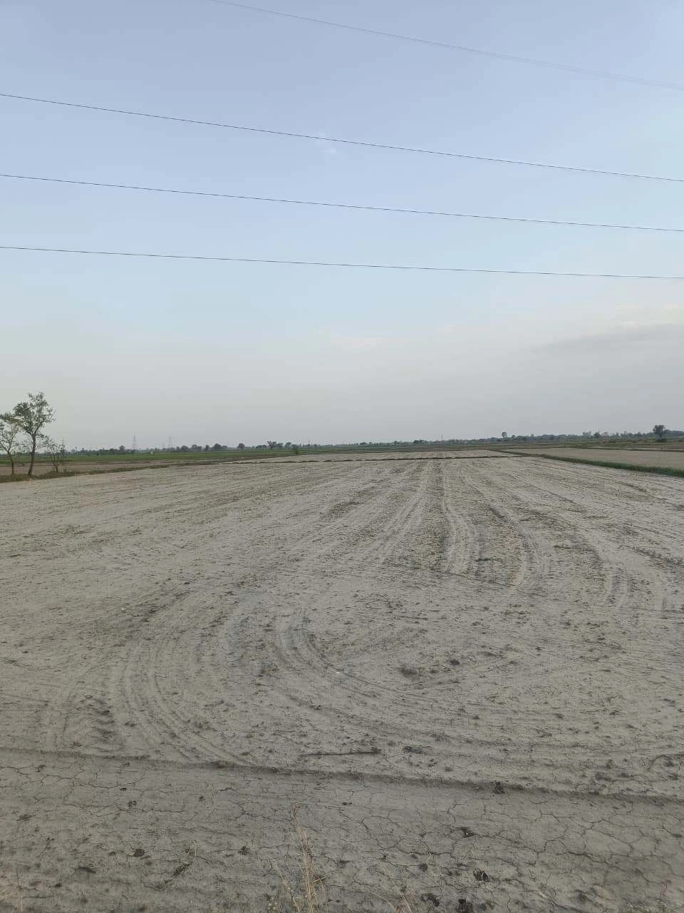 Sankhi, Uttar Pradesh 281401, India