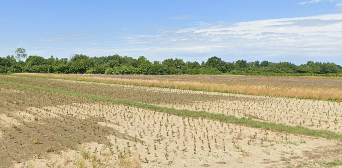 Borkheda Pitramal, Madhya Pradesh 456335, India