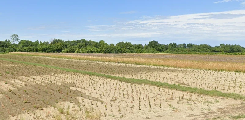 Borkheda Pitramal, Madhya Pradesh 456335, India preview 2