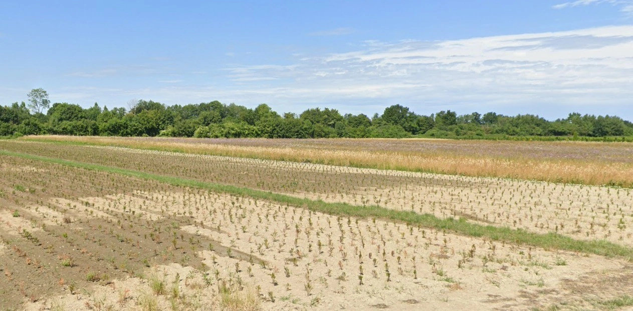 Borkheda Pitramal, Madhya Pradesh 456335, India