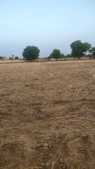 Dwarkpur, Rajasthan, India preview 2