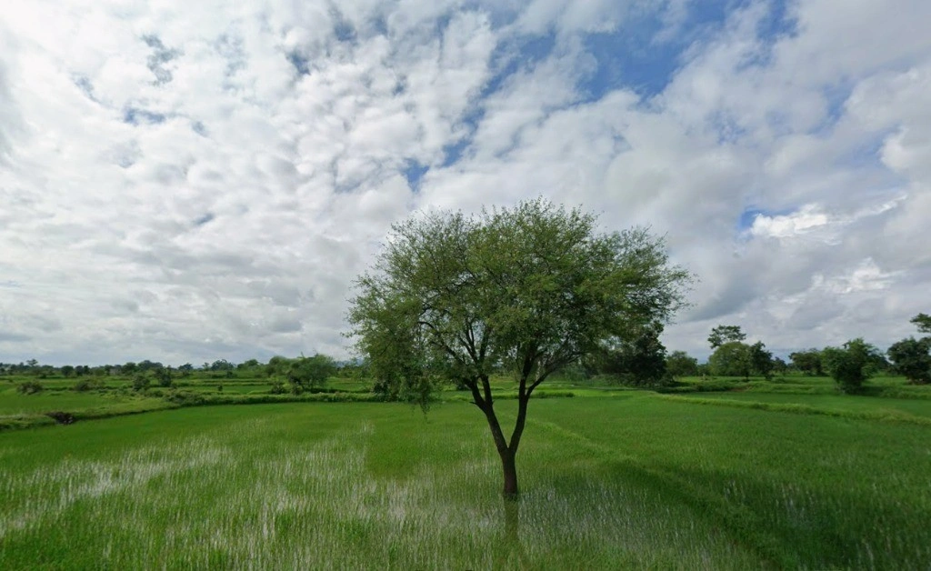 Khurdur, Chhattisgarh 495113, India