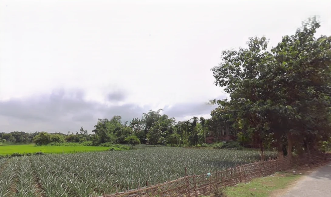 Ghoshpukur, West Bengal 734426, India