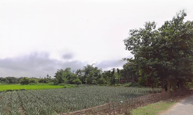 Ghoshpukur, West Bengal 734426, India preview 2