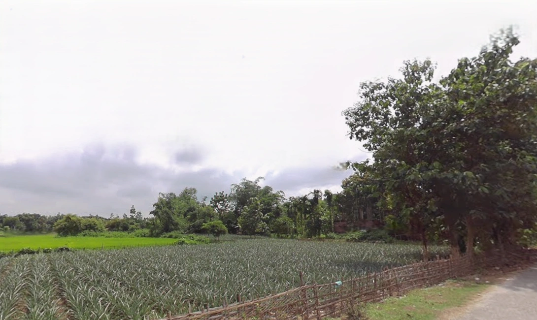 Ghoshpukur, West Bengal 734426, India