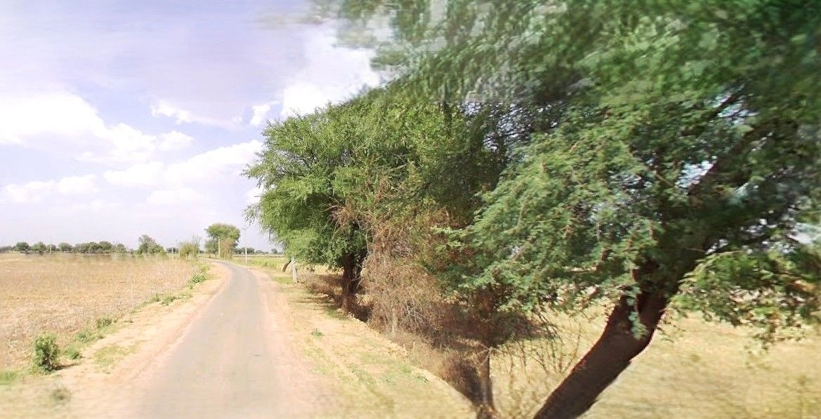 Ramnagar, Uttarakhand 244715, India