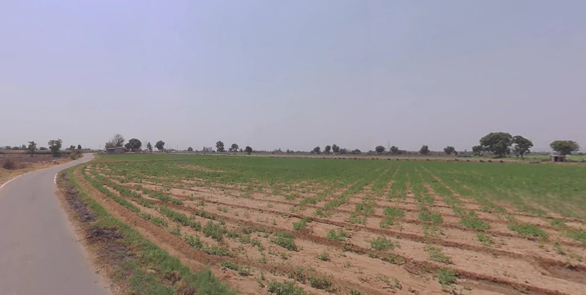 Vadaval, Gujarat, India