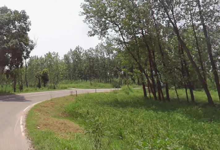 Behat, Uttar Pradesh 247121, India preview 3