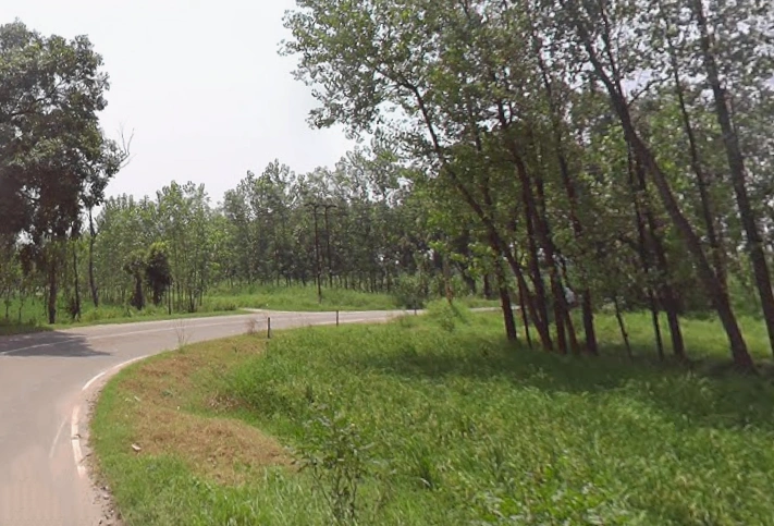 Behat, Uttar Pradesh 247121, India