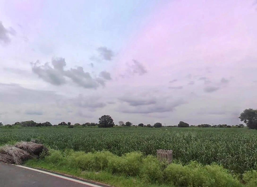 25CH+PR7, Bharatpur Rd, Weir, Rajasthan 321408, India