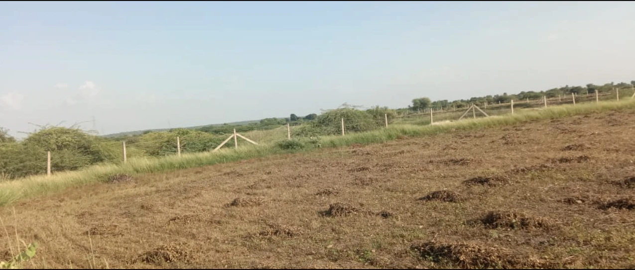 35VV+G59, Banda, Madhya Pradesh 470335, India