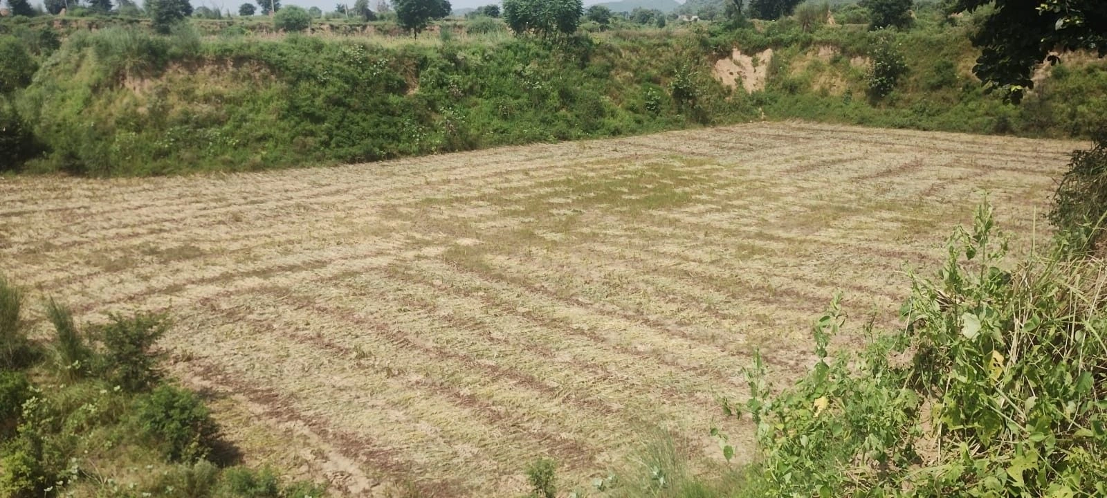 Pinan, Rajasthan, India