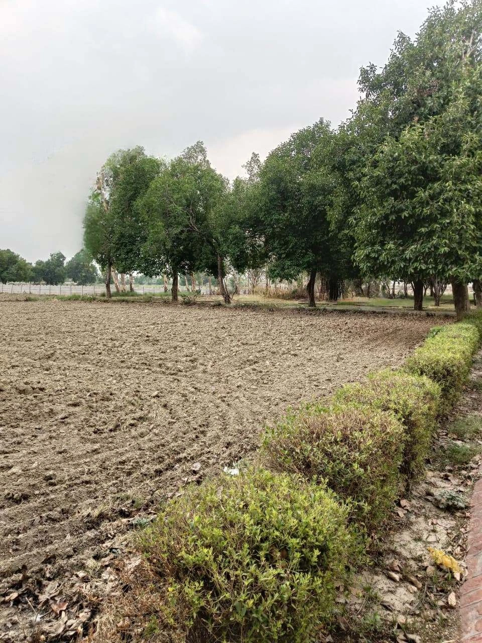Chandauri, Uttar Pradesh, India preview 2