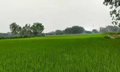 Khurja, Bulandshahr, Uttar Pradesh 203131, India preview 3