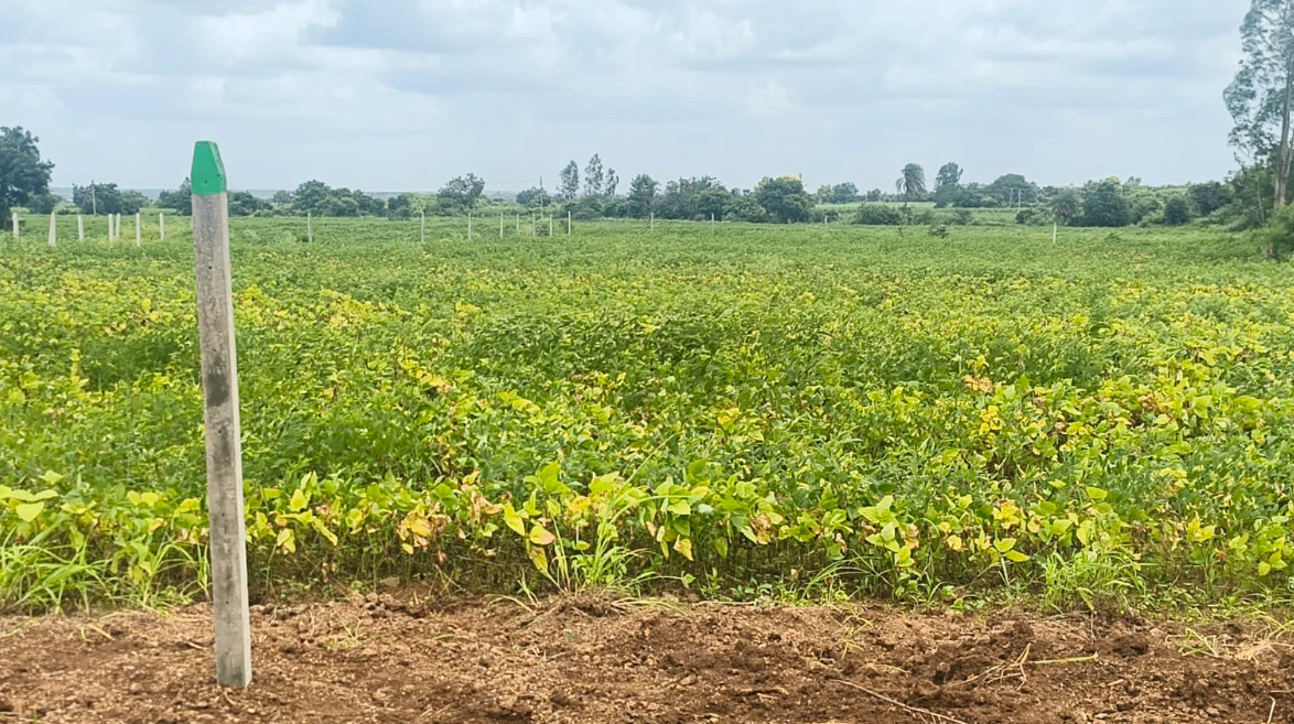 QP67+JGM, Sangareddy, Jharasangam, Telangana 502246, India