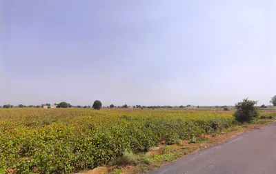 Ghursal, Haryana 125052, India preview 3