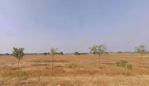 RWFG+JRV, Sastapur, Karnataka, India preview 2