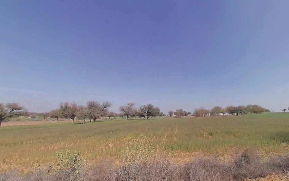 Aloda, Rajasthan 332602, India