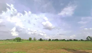 RJ6P+9FX, Khairthal Gaon, Khairthal, Rajasthan 301404, India preview 3
