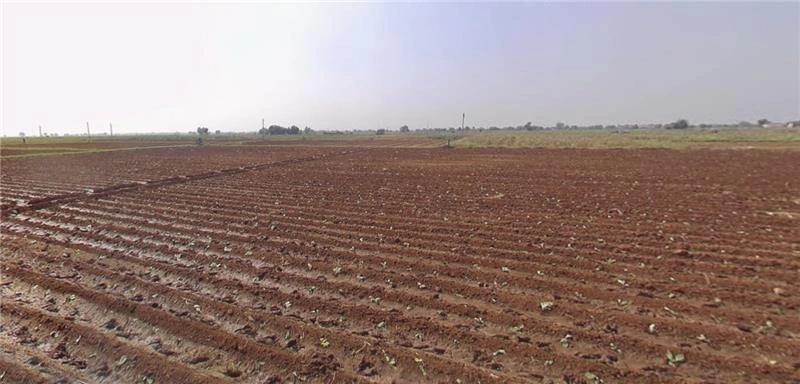 Vadgas, Gujarat 382150, India