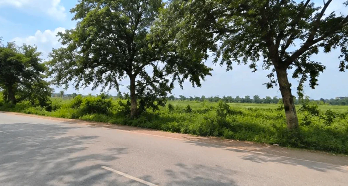 C9CX+C5 Madani, Sikar, Rajasthan, India