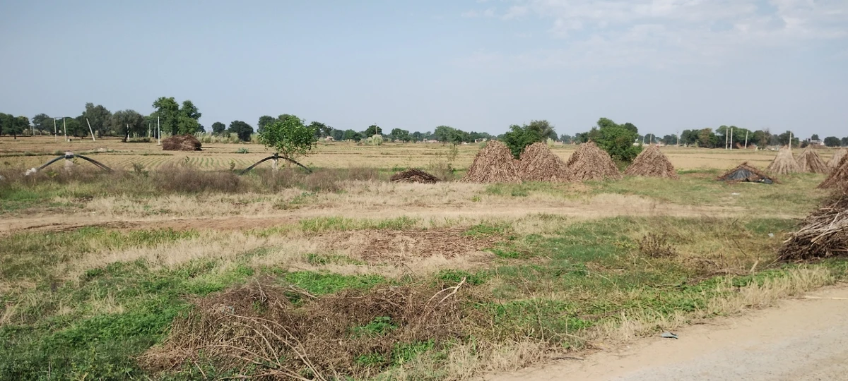FWR6+JJ5, Gahankar, Rajasthan 301021, India